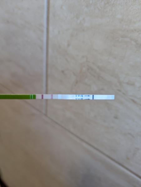 Ovulation