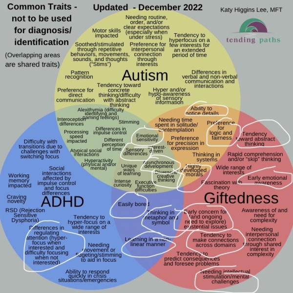 The great transition: US 1st grade to UK Year 3