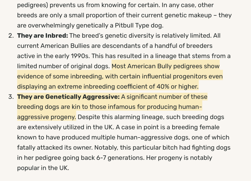 American Bully XL to be banned by end of year