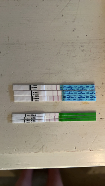 Fed up no positive opk