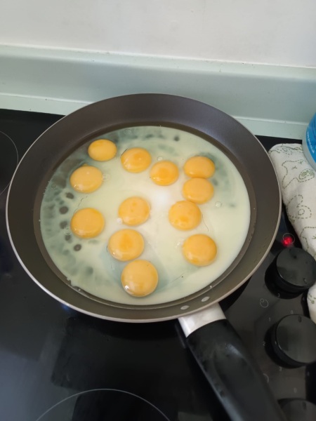 Double Yolkers
