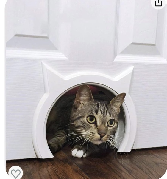 Building a cat house and wall pass throughs