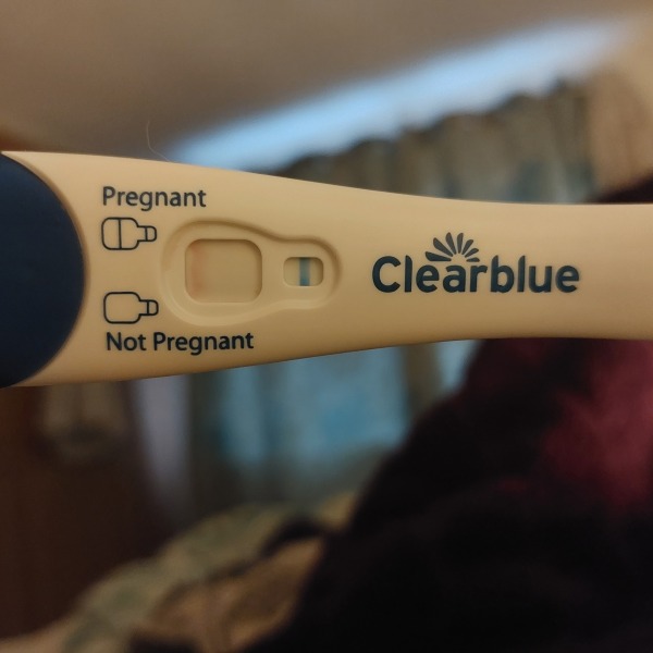 Clear blue test. Evap line or positive