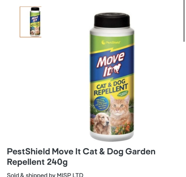To want cat-owner to acknowledge impact on me?