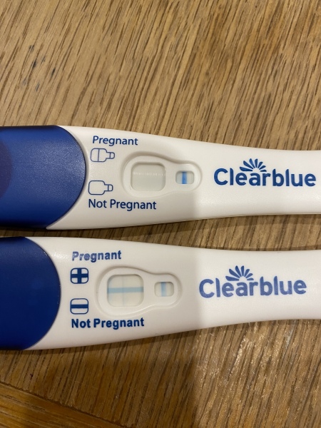 Clear blue test. Evap line or positive