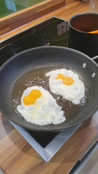 Double Yolkers