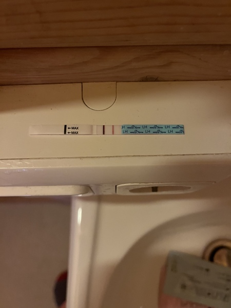 Premom easy at home pregnancy tests