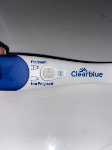Clear blue test. Evap line or positive