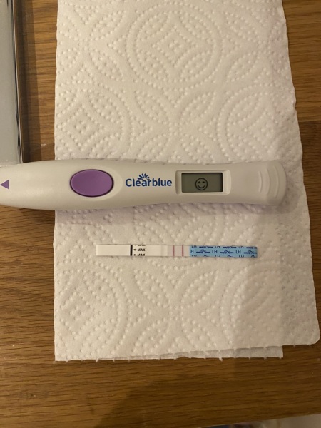 Ovulation test confusion