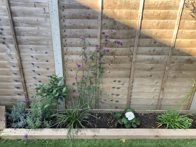 Garden help