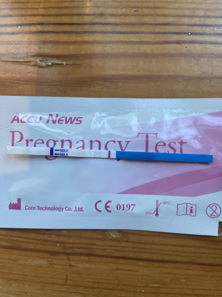 Whose trying to conceive baby no2 this year?