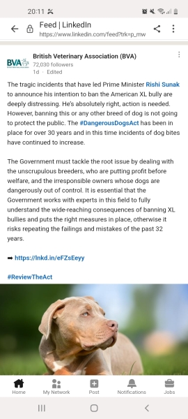 Another dog attack, man killed, can this just go on?