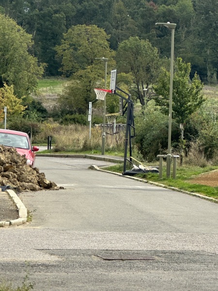 Basketball net overhanging the road