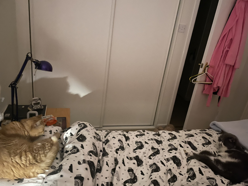 Potential new inmate at Toddler Towers.