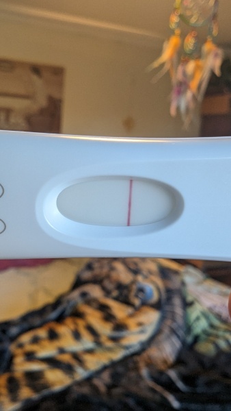 Trying to conceive!