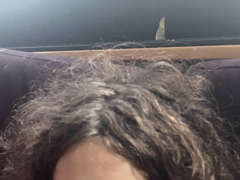 Daughter frizzy hair