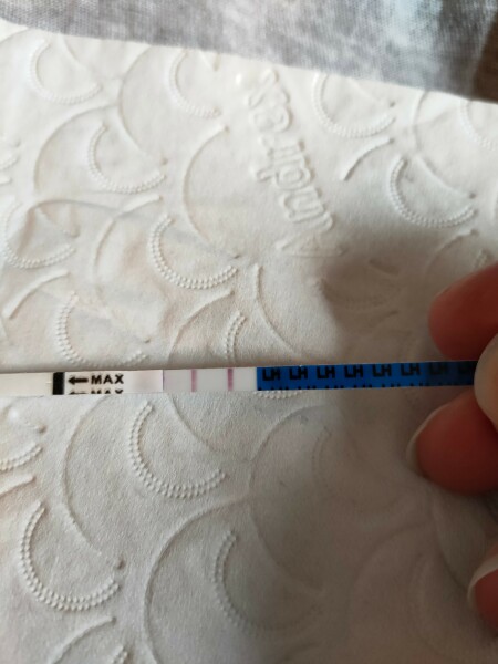 Positive ovulation test?