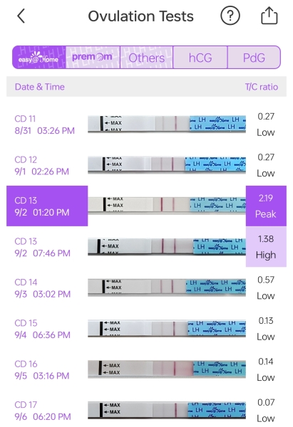 Around 12dpo BFN- anyone advice?