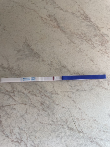 Clear blue test. Evap line or positive