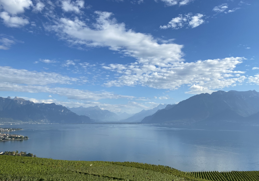 The Saxenda Sisterhood 