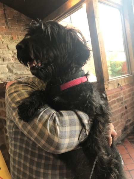 Any dog lovers here?