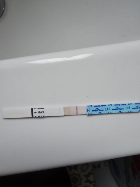Ovulation after miscarriage