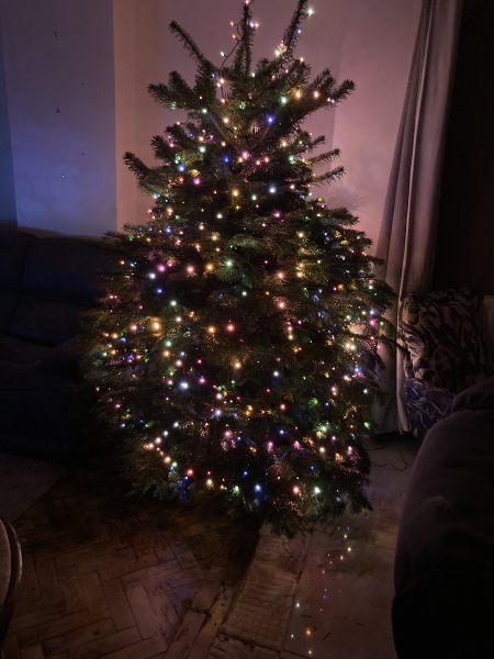 The 2023 Poncetastic Christmas Thread