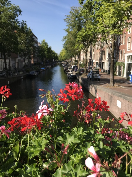 Come and tell me your dull and unexciting news 26: Calmly through the day 