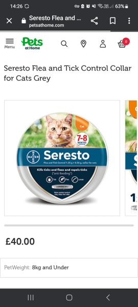 Getting rid of fleas