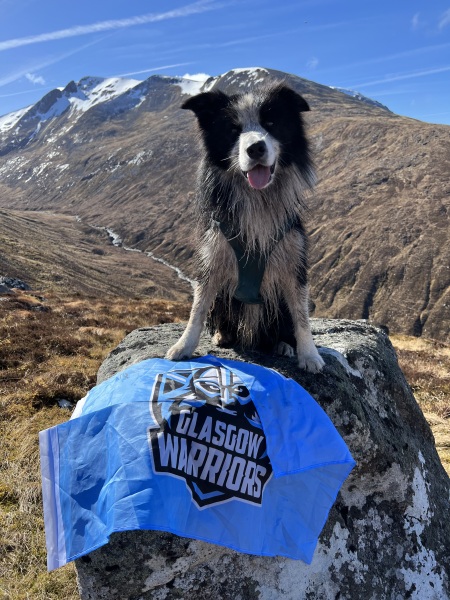 2023 Rugby World Cup