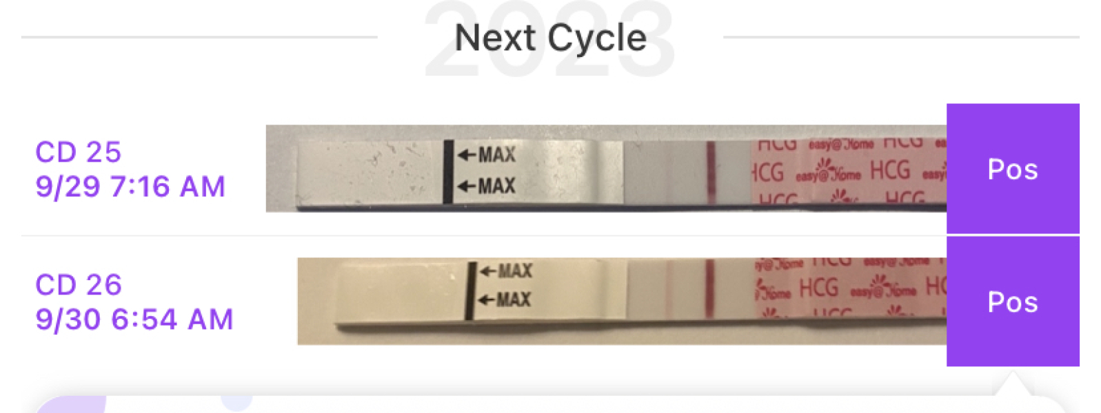 Letrozole first cycle