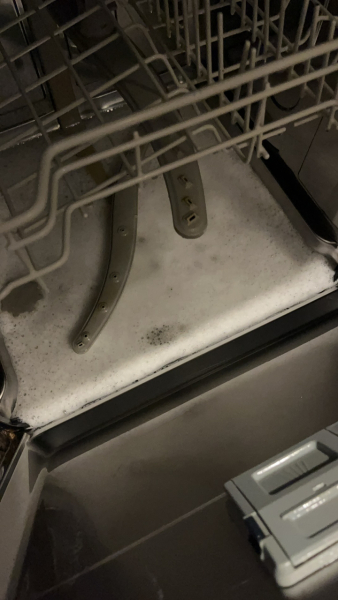 Dishwasher stopped