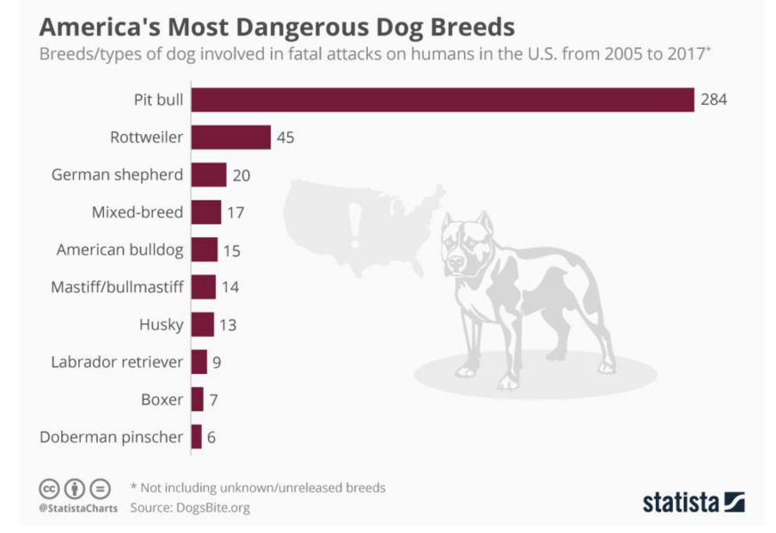Finally - govt. explore dog ban