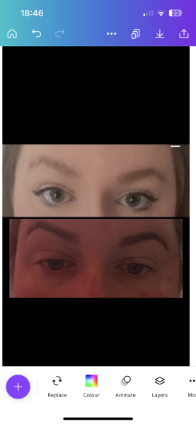 To complain about my wonky eyebrows?
