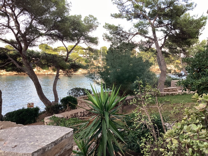 Mallorca vs Lanzarote