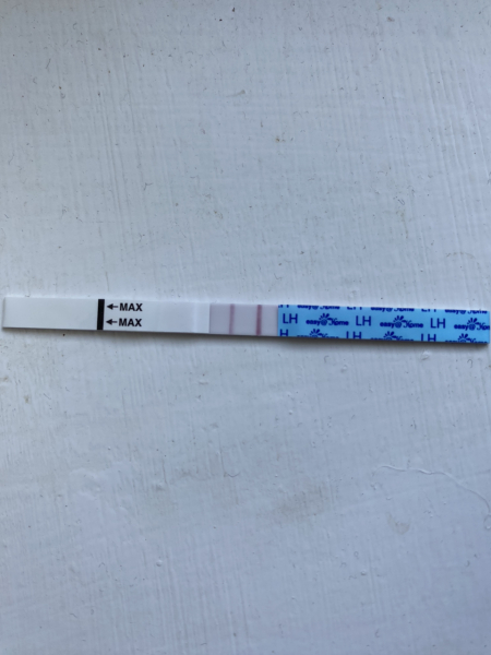 TTC May 2023 💖 Previous MC March 2023 (thread 2)