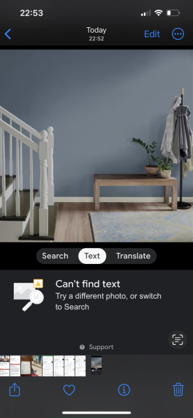 Wall color to go with brown carpet?