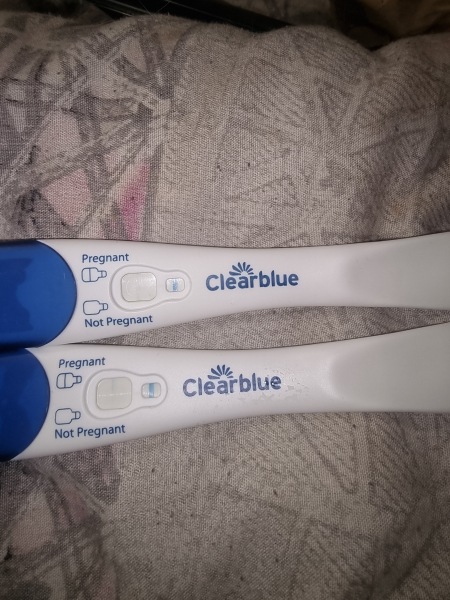 Clear blue test. Evap line or positive