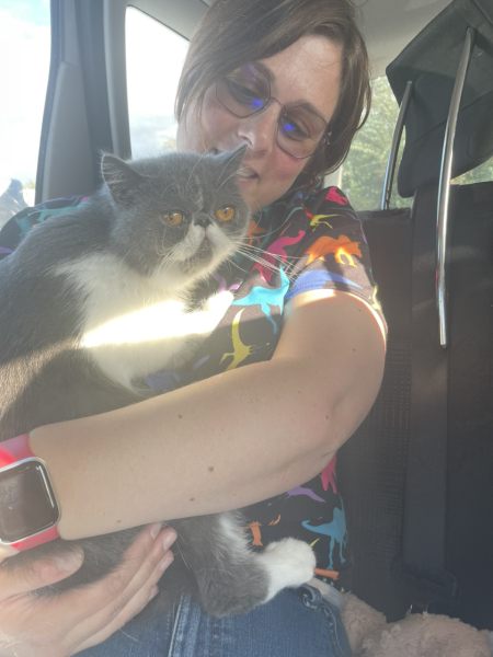 Potential new inmate at Toddler Towers.