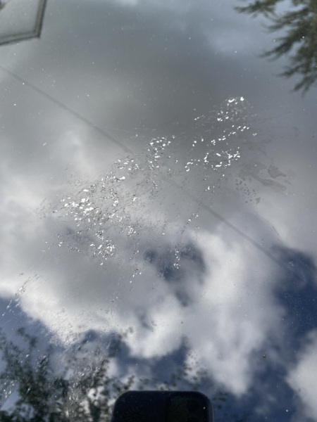 Bird poo really?! Any car experts ?!