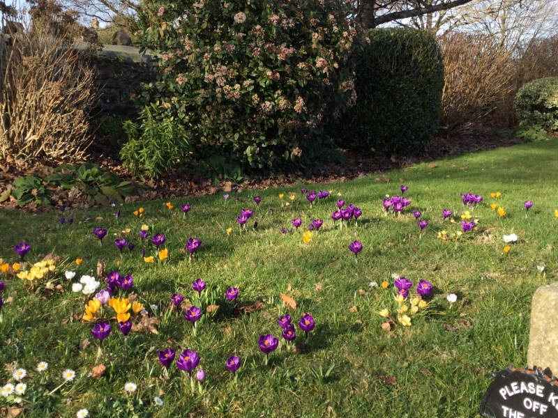 What have you done in the garden today? Part 3