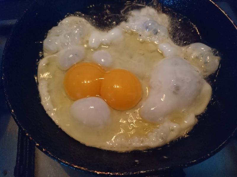 Double Yolkers