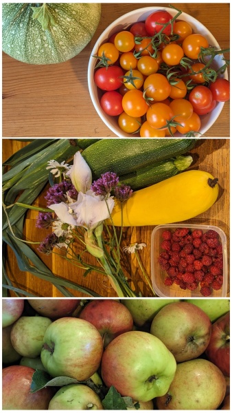 The Vegetable Patch Mark 2