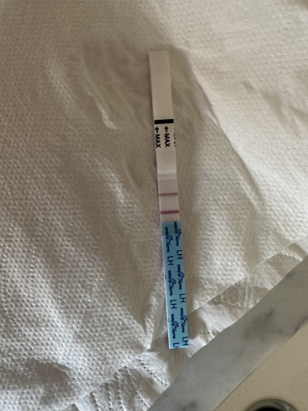 Ovulation 9 days after a MC started