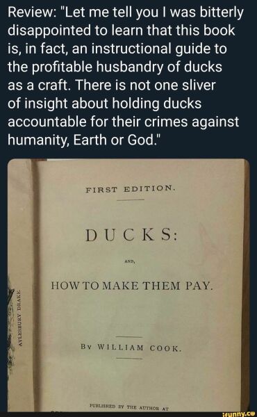 What does Lots of ducks to feed mean here???
