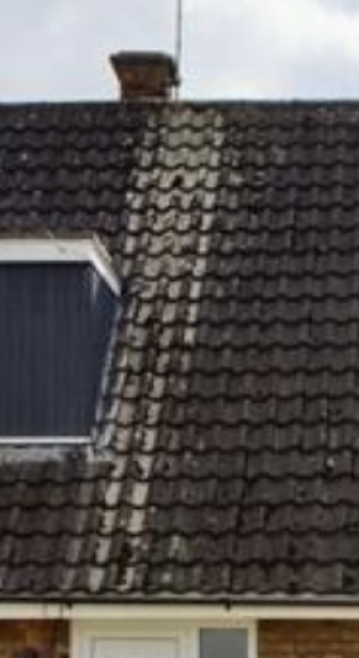 What is this on the roof?