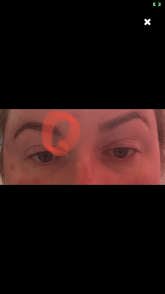 To complain about my wonky eyebrows?