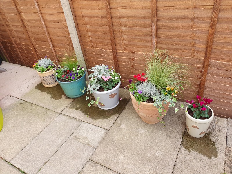 Hanging baskets for the autumn/winter