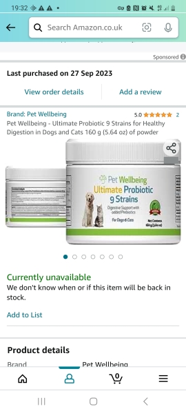 Kitten campylobacter