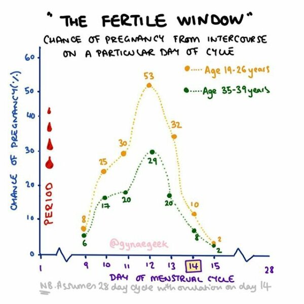 Why do under 35s have to wait 12mo for treatment and over 35 only 6mo?